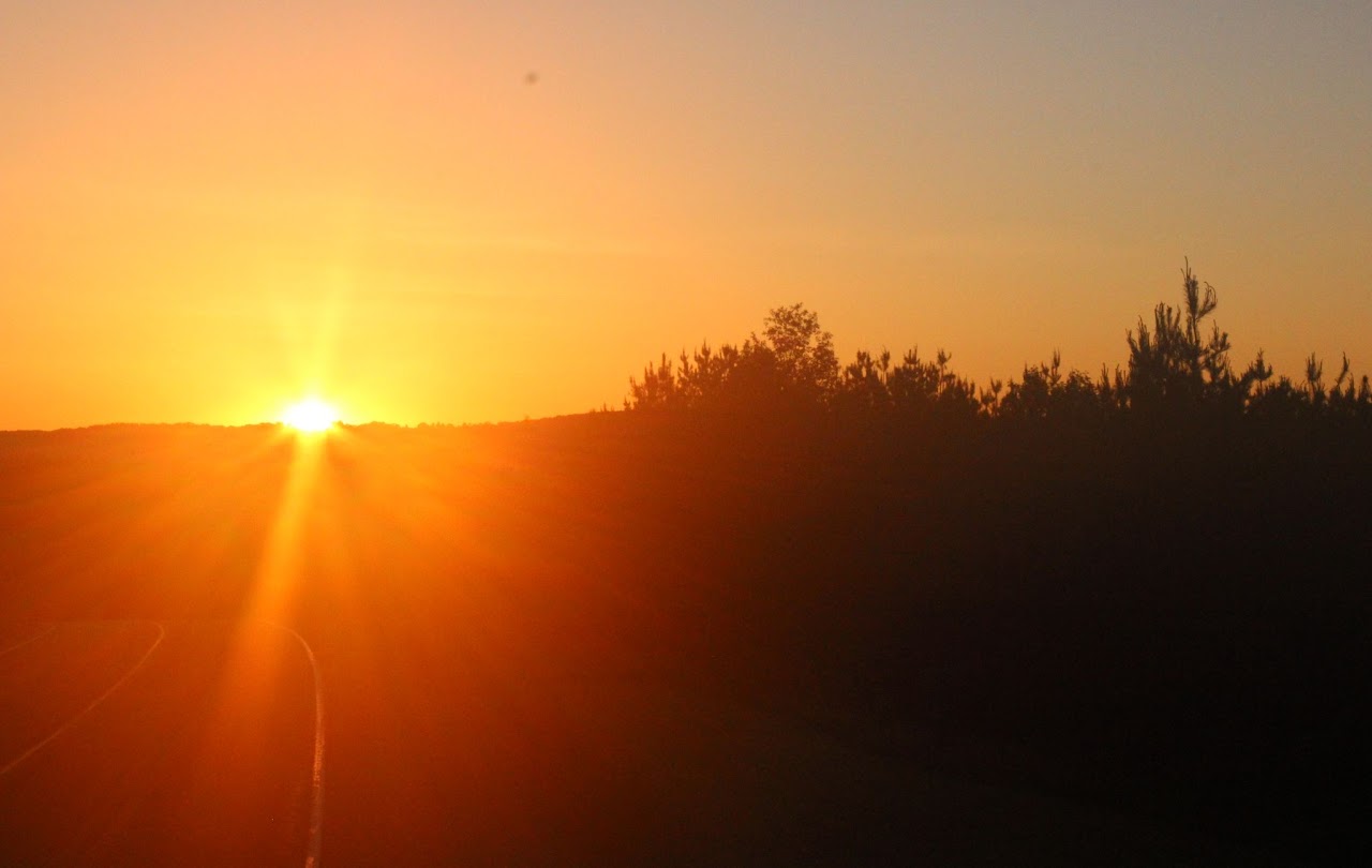 Sunset with silhouette of trees